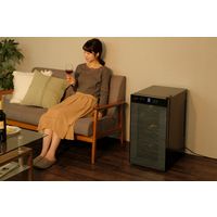 アイリスオーヤマ ワインセラー 50L IWC-P182A-B 1台