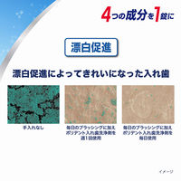 入れ歯洗浄剤 新ダブル洗浄 ポリデント 2倍の洗浄成分 1箱（48錠入）Haleonジャパン