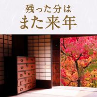蚊 駆除 蚊取り器 アースノーマット 取替えボトル 120日用 無香料 液体 詰め替え用 殺虫剤 室内  1セット（2本入×5箱） アース製薬