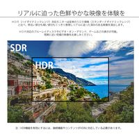 JAPANNEXT（ジャパンネクスト） 50インチ4K液晶モニター JN-HDR501V4K 大型モニター 1台