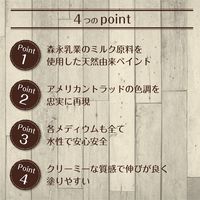 ターナー色彩 ミルクペイント クロコダイルGN 450ML 247671520000 1個（直送品）