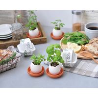 聖新陶芸 聖新 EG-49 エッグリング エコ 四葉のクローバー　1個（直送品）