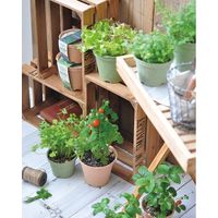 聖新陶芸 聖新 GD-41005 エコット S ラベンダー 1個（直送品）