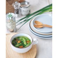 聖新陶芸 聖新 GD-79504 育てるスープ ホウレンソウ 1個（直送品）