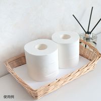 大直 抗菌和紙 雲竜 白 500×920 5枚入 404100021 1セット