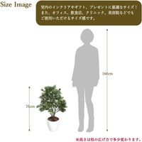 ササガワ フェイクグリーン・人工観葉植物 ボックスウッド Mサイズ 32-8710 1個（直送品）