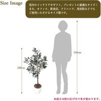 ササガワ フェイクグリーン・人工観葉植物 オリーブ Mサイズ 32-8713 1個（直送品）