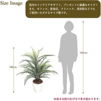 ササガワ フェイクグリーン・人工観葉植物 タマシダ Mサイズ 32-8711 1個（直送品）