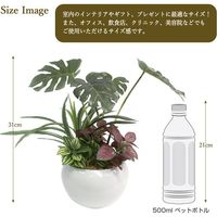ササガワ フェイクグリーン・人工観葉植物 モンステラ寄植え Sサイズ 32-8708 1個（直送品）