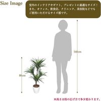 ササガワ フェイクグリーン・人工観葉植物 ユッカ Mサイズ 32-8716 1個（直送品）