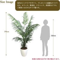 ササガワ フェイクグリーン・人工観葉植物 アレカヤシ Lサイズ 32-8724 1個（直送品）