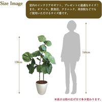 ササガワ フェイクグリーン・人工観葉植物 ウンベラータ Lサイズ 32-8722 1個（直送品）