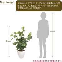 ササガワ フェイクグリーン・人工観葉植物 ポトス Lサイズ 32-8718 1個（直送品）