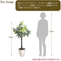 ササガワ フェイクグリーン・人工観葉植物 パキラ Lサイズ 32-8721 1個（直送品）