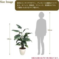 ササガワ フェイクグリーン・人工観葉植物 ホスタ Lサイズ 32-8720 1個（直送品）