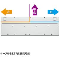 サンワサプライ コンパクトキーボード(テンキー付き・ホワイト) SKB-KG2WN2 1個