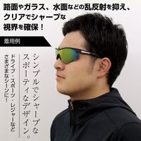 サングラス ブラック 男女兼用 ビビッドビジョン 10490 2個 トレードワン（直送品）