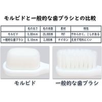 歯ぐきにやさしいシニア用歯ブラシ モルビドオーラルケア 6本セット mo-002 1セット(6本セット(カラーアソート))（直送品）