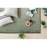 アイリスオーヤマ ラ・クッションラグ　ACRB-1318　グリーン　1個（直送品）