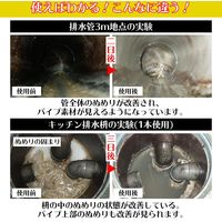 コモライフ バイオでぬめりドーン! 65977 1個