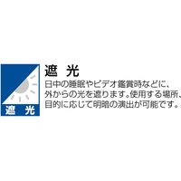 川島織物セルコン ドレープカーテン 遮光防炎 ウォッシャブル DD1178S 幅1000×高1350mm イエローグリーン 1セット(2枚)（直送品）