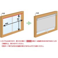 ナプコインテリア 【飛沫防止】 防炎+抗ウイルス 透明 ロールスクリーン チェーン式 幅650×高さ1900mm （飛沫対策） 1本（直送品）