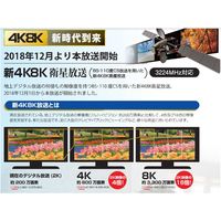 サン電子 TV接続ケーブル2m 4SLN20W-B 1箱(3個)（直送品）