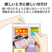 エレコム ラベルクッキリインクジェット専用紙12面付 EDT-TI12R 1袋(20シート)