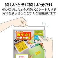 エレコム ラベルクッキリインクジェット専用紙 12面付 EDT-TI12 1袋（20シート入）