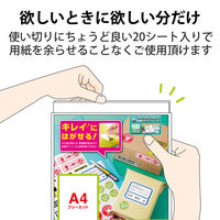 エレコム ラベルシール 宛名シール きれいにはがせる ノーカット ラベル枚数：20枚 EDT-TKF 1袋（20シート）（直送品）
