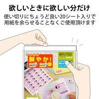 エレコム ラベルクッキリインクジェット専用紙44面付 EDT-TI44 1袋(20シート)