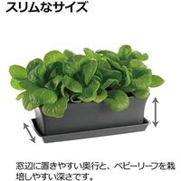 リッチェル ベビーリーフプレート 27型N ダークグレー 4973655704820 1個（直送品）