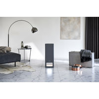 バルミューダ ザ・ピュア A01A-GR 1台