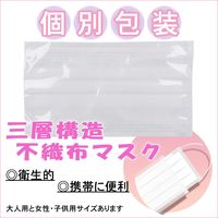 iiもの本舗 三層構造 不織布マスク 個別包装 大人用サイズ 30枚入×24セット 4589596692678（直送品）