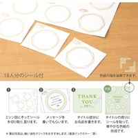 カラー色紙 シール18枚付 半透明 タイトル 緑 33255006 1セット（2枚） デザインフィル（直送品）