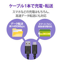 USBケーブル タイプC (A-C) 1m 認証品 抗菌 まとまる 記憶形状 ブラック MPA-MAC10NBK エレコム 1個