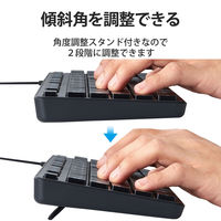 エレコム 有線キーボード/薄型/メンブレン式/抗菌/フルサイズ/ブラック TK-FCM108KBK 1個（直送品）