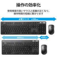 ワイヤレスキーボード マウスセット 無線 テンキーレス 抗菌 メンブレン 薄型 TK-FDM109MKBK エレコム 1個