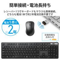 ワイヤレスキーボード マウスセット 無線 フルサイズ 薄型 抗菌 メンブレン ブラック TK-FDM110MKBK エレコム 1個（直送品）