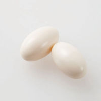 オリヒロ セサミン 30日分 60粒 サプリメント