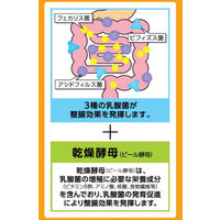 エビオス整腸薬　1セット（504錠×2個）　アサヒグループ食品　【指定医薬部外品】