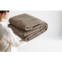 スミノエ HOMERUG Caruruカルル 抗菌・抗ウィルスラグ タイプフォー 1100×1300mm グリーン 1枚（直送品）