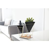 アントレックス Umbra トリッグ フラワーベース デスクオーガナイザー 幅140×奥行140 × 高さ175mm ブラック/ブラス 1セット(大 （直送品）