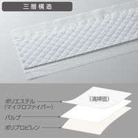 テラモト ライトダスター Mー49 (80枚入) CL3580490 1箱(80枚入)