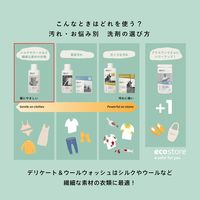 デリケート＆ウールウォッシュ ユーカリの香り おしゃれ着用 500mL 1個 衣料用洗剤 エコストア ジャパン