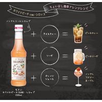 日仏貿易 【モナン】ホワイトピーチ・シロップ　250ml R4-107 6個（直送品）