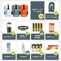 防災セット 2人用 グレー×2 ドライバッグ 防水リュック 手動膨張式 ライフジャケット 防災士監修 水害対策 警戒レベル3（直送品）