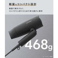SALONIA（サロニア）　スピーディーイオンドライヤー グレー 大風量 速乾 軽量 ヘアドライヤー  I-ne