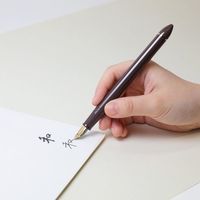 セーラー万年筆 ふでDEまんねん 万年筆 細字～太字 パールブラウン軸 12-0150-080 1セット（1本×5）