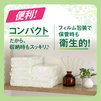 トイレットペーパー パルプ 無香料 ダブル 130組（5個入）エリエールトイレット ソフトパック 1セット（1パック（5個入）×10））大王製紙